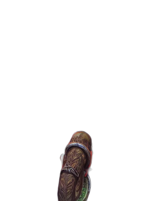 shoes, bottle, staff, creature transparent PNG cut-out