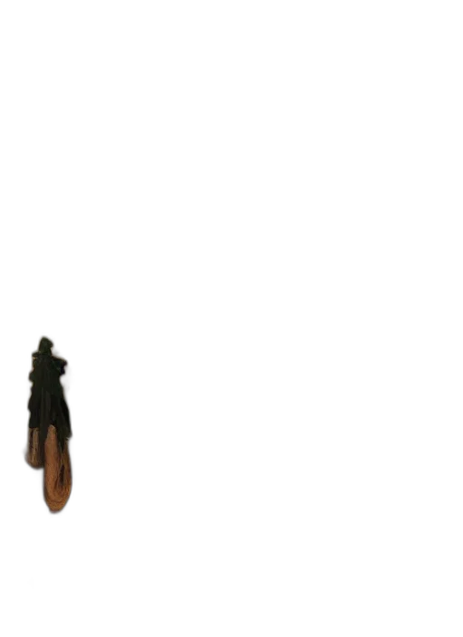 weapon, staff, umbrella, shoes transparent PNG cut-out