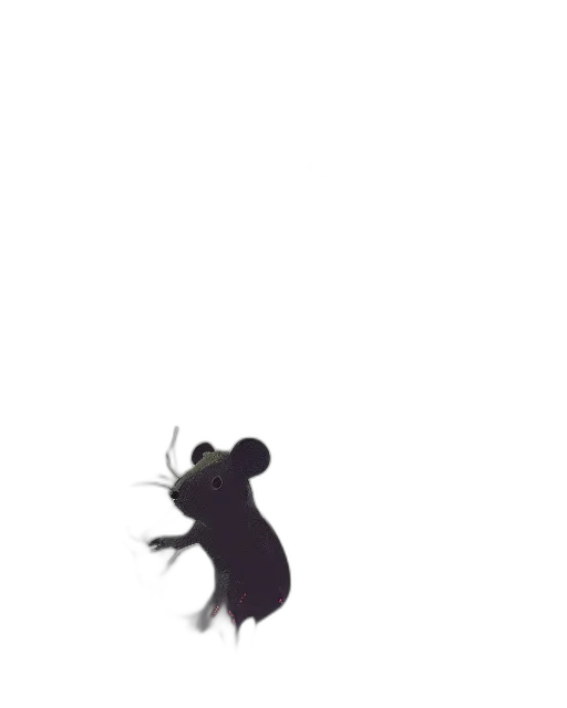 animal, staff, creature, hat transparent PNG cut-out