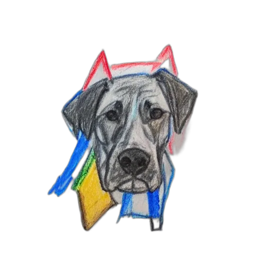 staff, hat, umbrella, animal transparent PNG cut-out
