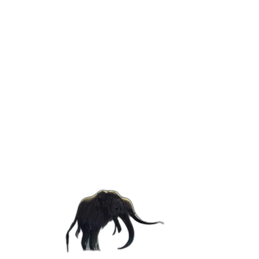 hair, creature, animal, dragon transparent PNG cut-out