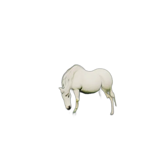 animal, creature, jewelry, furniture transparent PNG cut-out