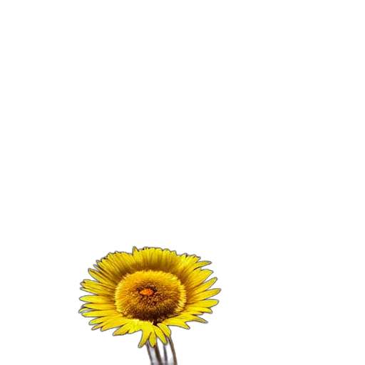 flower, umbrella, crown, staff, 3d render, pixel art, photorealistic, watercolor transparent PNG cut-out