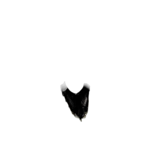 hair, mask, animal, hat transparent PNG cut-out