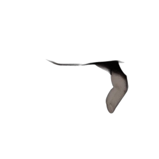 umbrella, staff, animal, shoes, 3d render, photorealistic, concept art, dark transparent PNG cut-out