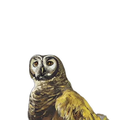 animal, staff, creature, face transparent PNG cut-out