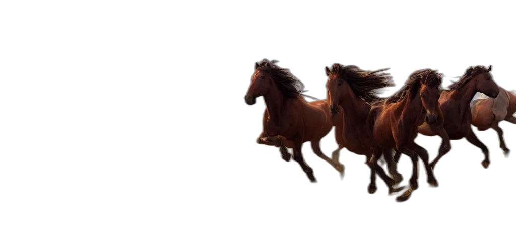 animal, hair, shoes, creature transparent PNG cut-out