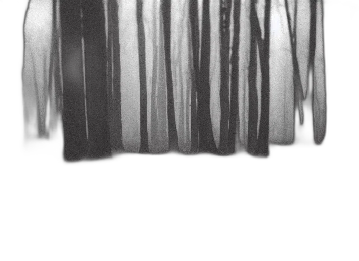tree, dress, hair, mask transparent PNG cut-out