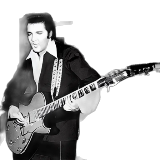 jacket, photorealistic, cartoon, concept art, comic book art, elvis, presley, datacenter transparent PNG cut-out