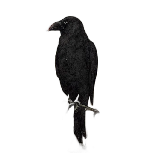 animal, staff, creature, crown transparent PNG cut-out