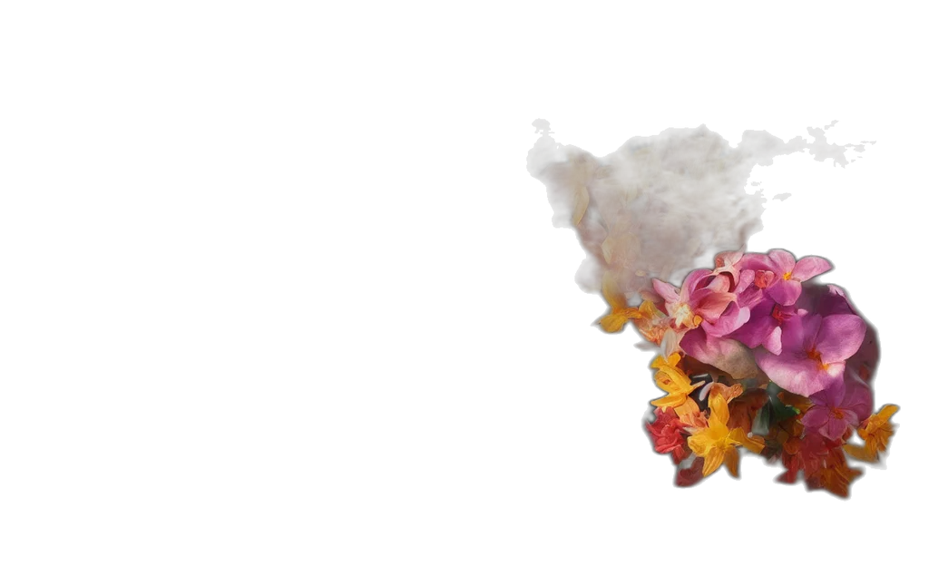 flower, crown, hair, mask transparent PNG cut-out