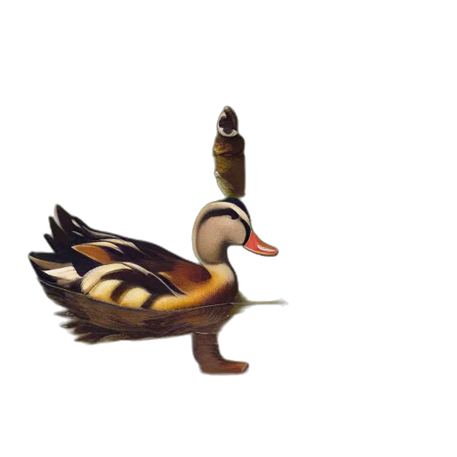 animal, staff, creature, weapon transparent PNG cut-out