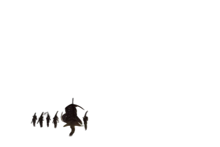 robot, creature, animal, dragon transparent PNG cut-out