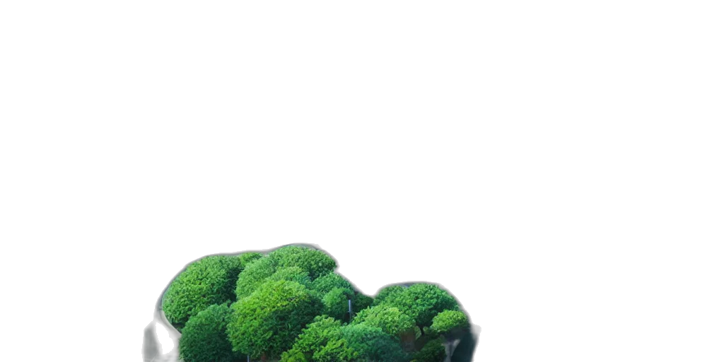 tree, car, shoes, dragon transparent PNG cut-out