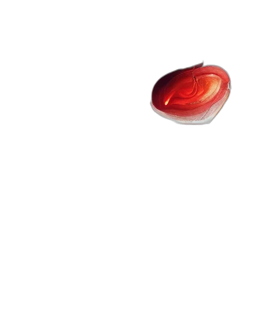 food, weapon, jewelry, shoes transparent PNG cut-out