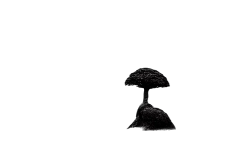 umbrella, hat, tree, crown, concept art, 3d render, pixel art, photorealistic transparent PNG cut-out