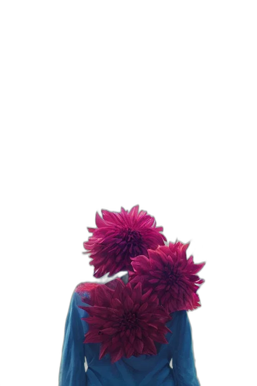 flower, crown, hat, shoes transparent PNG cut-out