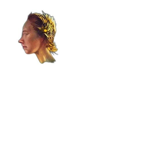 crown, face, hat, staff, photorealistic, pixel art, concept art, 3d render transparent PNG cut-out