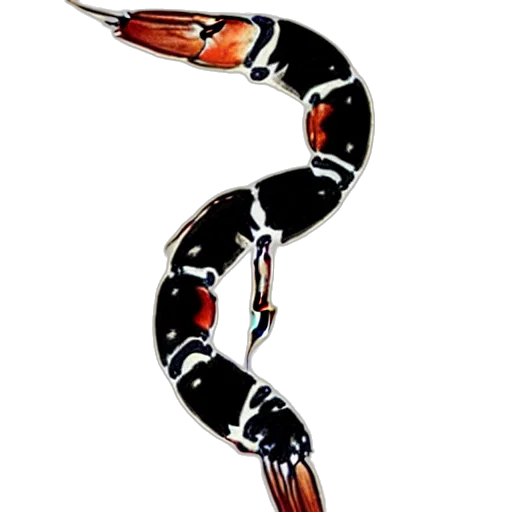 jewelry, animal, staff, weapon transparent PNG cut-out