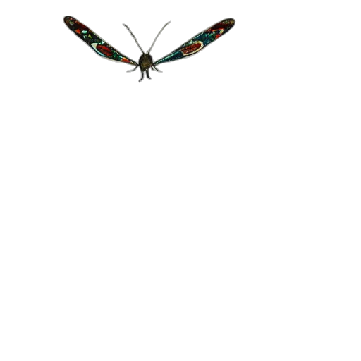 animal, dragon, creature, staff transparent PNG cut-out