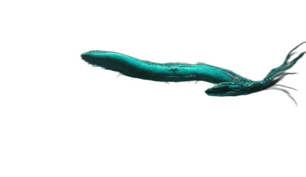 dragon, animal, staff, creature, 3d render, photorealistic, concept art, underwater transparent PNG cut-out