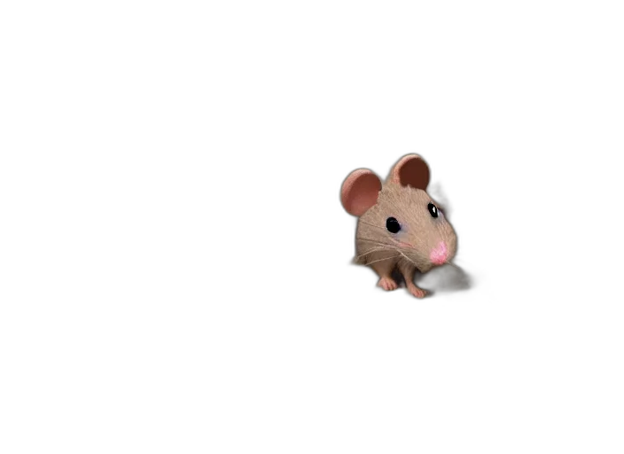 animal, creature, food, weapon transparent PNG cut-out