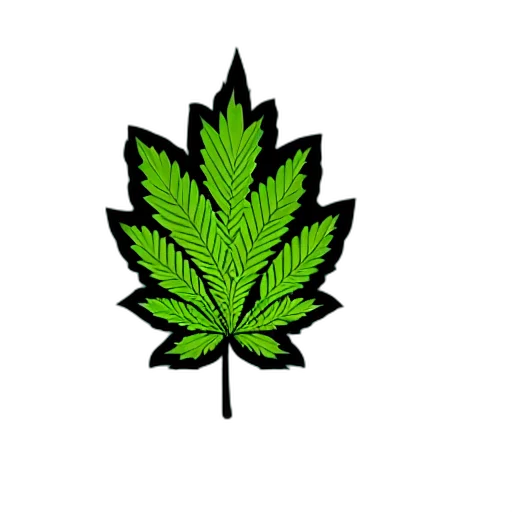crown, flower, tree, jacket transparent PNG cut-out