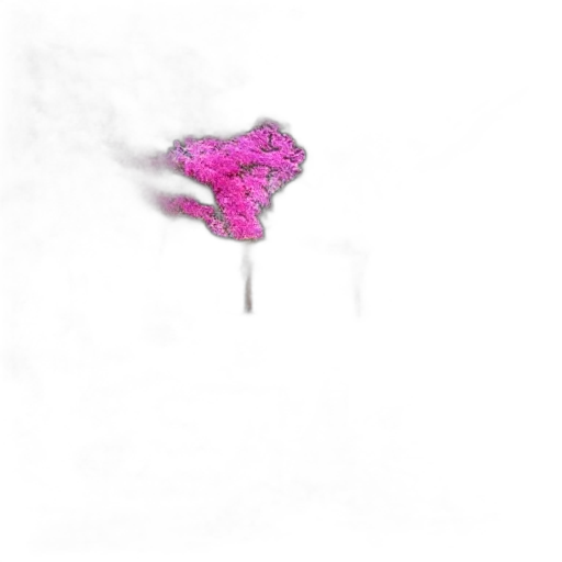flower, umbrella, jewelry, mask transparent PNG cut-out