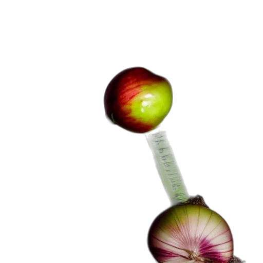 staff, food, weapon, flower, watercolor, photorealistic, 3d render, concept art transparent PNG cut-out