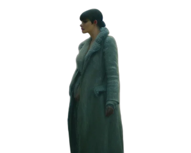 jacket, dress, staff, hat transparent PNG cut-out