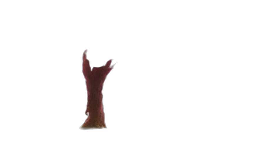 creature, staff, animal, hair transparent PNG cut-out
