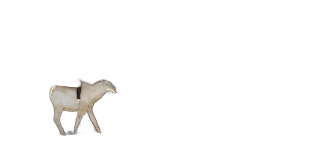 animal, creature, dragon, staff transparent PNG cut-out