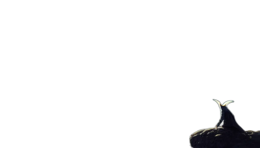 staff, face, hat, robot transparent PNG cut-out