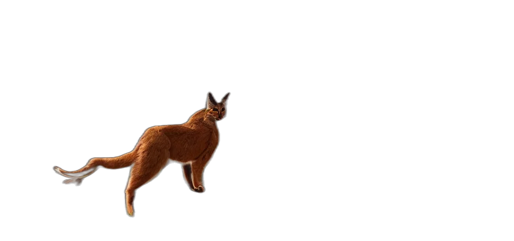 animal, creature, hair, staff transparent PNG cut-out
