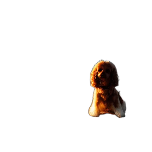 hair, animal, creature, mask, 3d render, photorealistic, pixel art, concept art transparent PNG cut-out