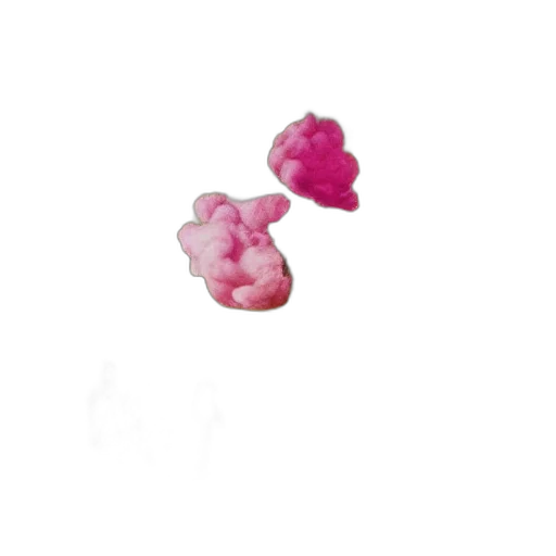 jewelry, flower, crown, food transparent PNG cut-out