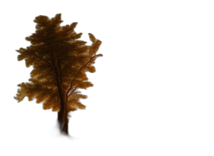 tree, hair, crown, hat transparent PNG cut-out
