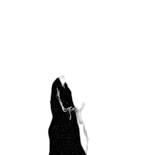 dress, staff, jacket, shoes transparent PNG cut-out