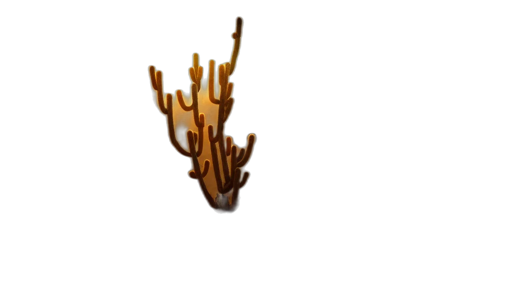 tree, crown, hair, staff transparent PNG cut-out