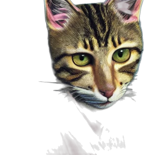 animal, face, creature, staff transparent PNG cut-out