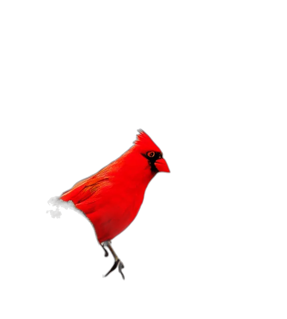 animal, hat, dress, staff, 3d render, photorealistic, concept art, pixel art transparent PNG cut-out
