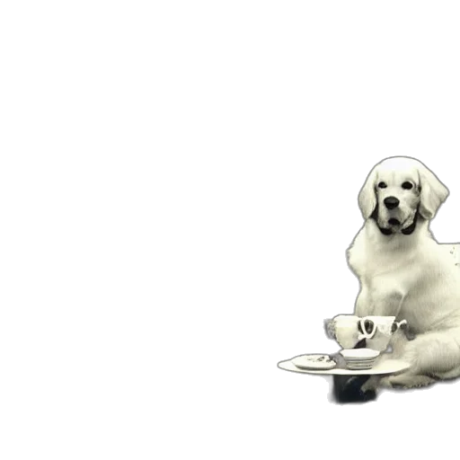 food, animal, staff, photorealistic, 3d render, pixel art, concept art, monochrome transparent PNG cut-out