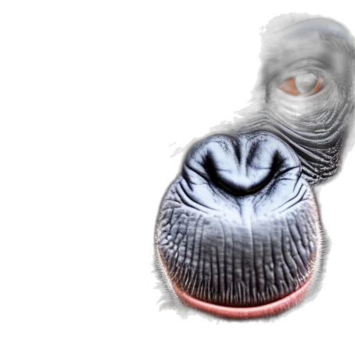 creature, mask, face, animal transparent PNG cut-out