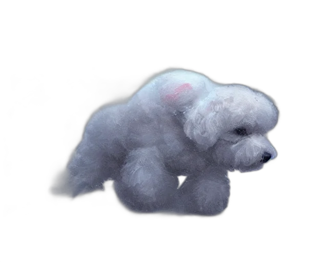 creature, animal, dragon, hair, 3d render, concept art, watercolor, photorealistic transparent PNG cut-out