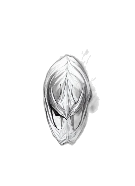 mask, face, crown, jewelry transparent PNG cut-out
