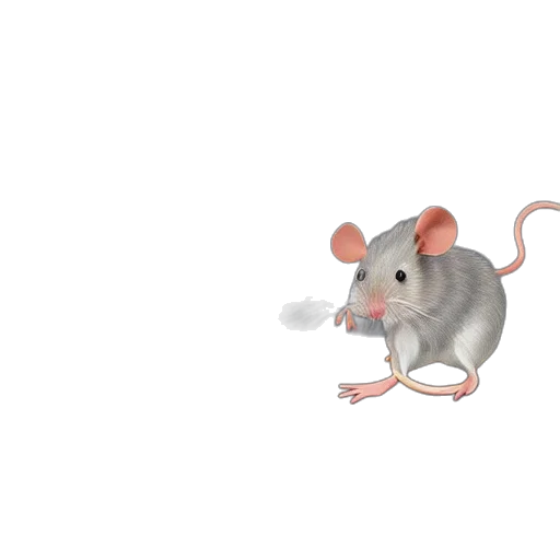 animal, creature, food, weapon, concept art, 3d render, watercolor, photorealistic transparent PNG cut-out