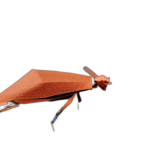 umbrella, animal, shoes, creature transparent PNG cut-out