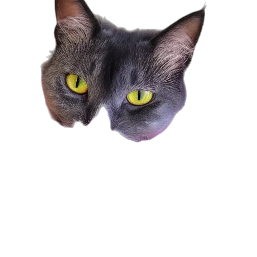 animal, creature, face, mask transparent PNG cut-out