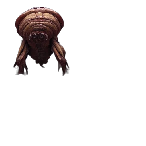 creature, hair, animal, mask transparent PNG cut-out