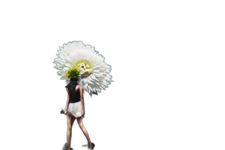 flower, hat, dress, staff, concept art, 3d render, fantasy art, pixel art transparent PNG cut-out